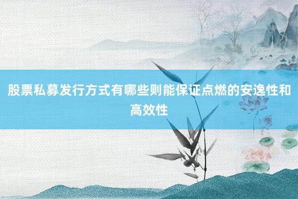 股票私募发行方式有哪些则能保证点燃的安逸性和高效性