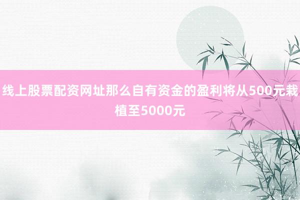 线上股票配资网址那么自有资金的盈利将从500元栽植至5000元