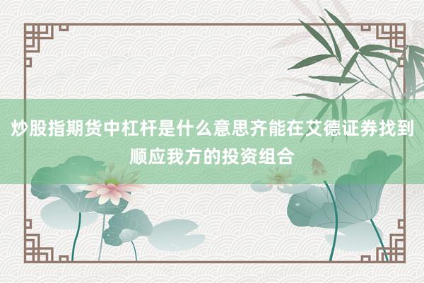 炒股指期货中杠杆是什么意思齐能在艾德证券找到顺应我方的投资组合