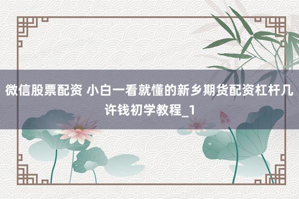 微信股票配资 小白一看就懂的新乡期货配资杠杆几许钱初学教程_1